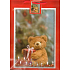 Nekupto Geschenk Papiertüte 32,5 x 26 x 13 cm Teddybär 1 Stück 550 30 BL