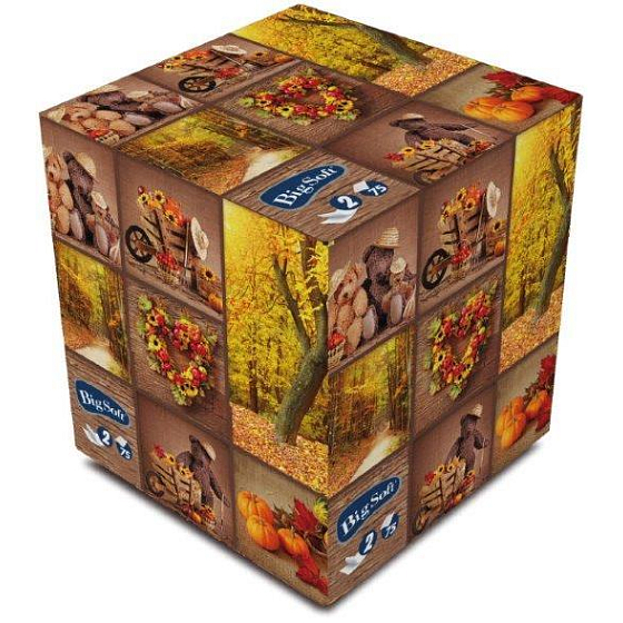 Big Soft Autumn Papiertaschentücher weiß 2-lagig in einer Schachtel mit 75 Stück