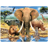 Prime3D Postkarte - Big Five 16 x 12 cm