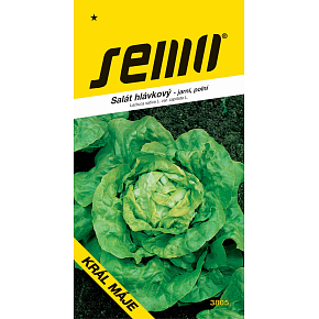 Semo Kopfsalat König des Mai - Frühjahr, Freiland 0,4 g