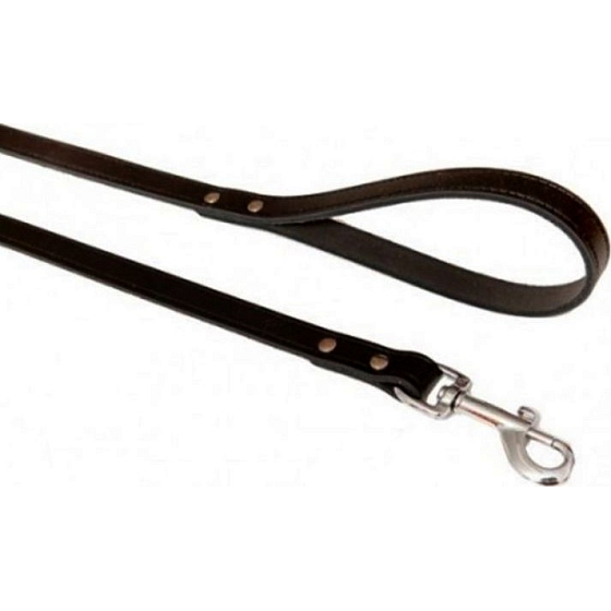 B&F Hundeleine aus Rindsleder schwarz 1,6 x 120 cm