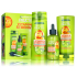 Garnier Fructis Vitamin & Strength Shampoo für kraftloses, zu Ausfallen neigendes Haar 250 ml + Spülung für kraftloses, zu Ausfallen neigendes Haar 200 ml + Serum gegen Haarausfall 125 ml, Kosmetikset