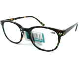 Berkeley Lesebrille Dioptrien +2,0 Kunststoff blau grün-braun 1 Stück MC2198