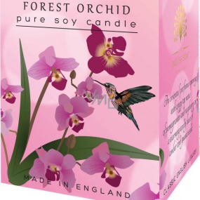 English Soap Forest Orchid Sojaduftkerze 170 ml, brennt bis zu 35 Stunden