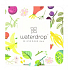 Waterdrop Discovery Kit Microdrink Schaumwürfel für ein erfrischendes Getränk mit Vitaminen und Extrakten aus Kräutern und Superfoods aus der ganzen Welt 4 Kapseln