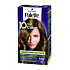 Schwarzkopf Palette 10 Minuten Haarfarbe 650 Hellgoldbraun