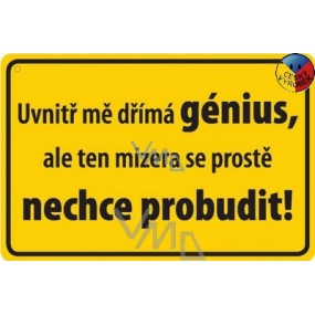 Nekupto Humorous Sign In mir schlafen Genie 15x10 cm 1 Stück Nekupto Humorous Sign In mir schlafen Genie 15x10 cm 1 Stück