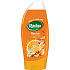 Radox Revive Mandarine und Zitronengras Duschgel 250 ml