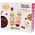 Garnier Botanic Therapy Ricinus Oil & Almond Shampoo für schwaches Haar mit Neigung zum Ausfallen 250 ml + Haarbalsam 200 ml, Kosmetikset
