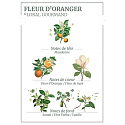 Panier des Sens Orange Blumenduschgel 50 ml + Körperlotion 50 ml + Eau de Toilette 3,5 ml + Handcreme 30 ml, Reisegeschenkset