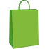 Ditipo Geschenkpapier Tasche 18 x 8 x 24 cm ECO Grün