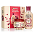 Garnier Botanic Therapy Rizinusöl & Mandel Shampoo für kraftloses, zu Ausfallen neigendes Haar 400 ml + Maske für kraftloses, zu Ausfallen neigendes Haar 300 ml, Kosmetikset