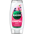 Radox Duschgel Romantik Orchidee und Heidelbeere, 225 ml