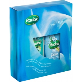 Radox Feel Active Duschgel 250 ml + Stressabbau-Badeschaum 500 ml, Kosmetikset