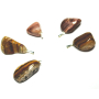 Aragonit Becher-Anhänger Naturstein, 2,2-3 cm, 1 Stück