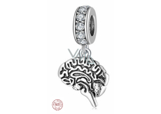Charms Sterling Silber 925 Anatomische Biologie - Gehirn, Armbandanhänger, Symbol
