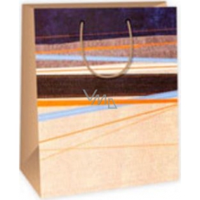 Ditipo Geschenk Papiertüte blau 26,4 x 13,6 x 32,7 cm braun orange horizontale Streifen DAB