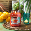 Yankee Candle Passionsfrucht Martini - Tropischer Cocktail mit Martini-Duftkerze Klassisches großes Glas 623 g