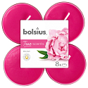 Bolsius Aromatisch 2.0 Peony - Pfingstrose maxi duftende Teelichter 8 Stück, Brenndauer 8 Stunden