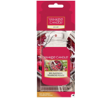 Yankee Candle Red Raspberry - Rote Himbeere duftende Auto-Tag Papier 12 g