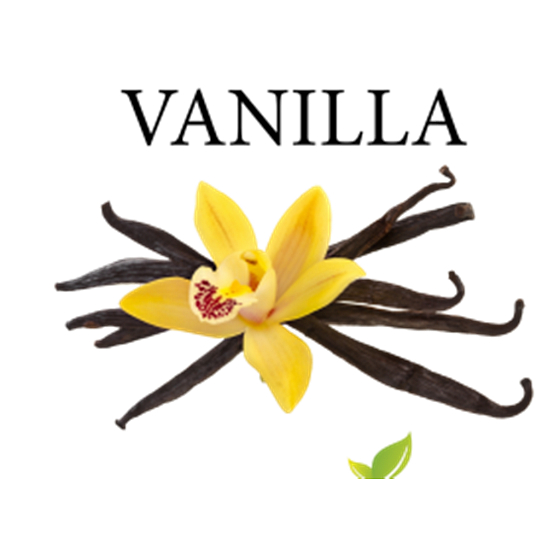Aroma Vanilla Alkoholisches Aroma für Gebäck, Getränke, Eis und Süßwaren 1 l