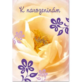 Ditipo Spielkarte spielen Gelbe Blume No Name Seerose 224 x 157 mm