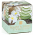 Heart & Home Beruhigende Aloe Soja-Duftkerze ohne Verpackung brennt bis zu 15 Stunden 53 g