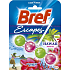 Bref Escapes Power Active 4 Hawaii Hibiskus WC-Block 50 g