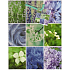 Nekupto Geschenk Papiertüte 23 x 18 x 10 cm Blumen 1111 50 KFM