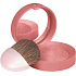 Bourjois Fard Pastel Joues Rouge 74 Rose Ambre 2,5 g