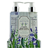 Salsa Collection Duschgel aus Lavendel, Salbei und Minze 240 ml + Körperlotion 240 ml, Kosmetikset