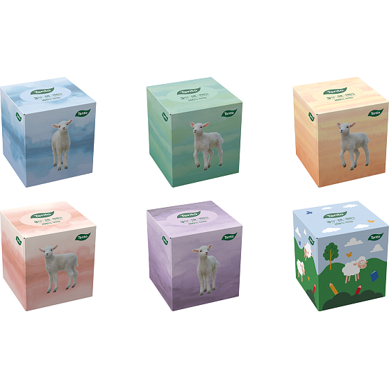 Dieser Cube Papiertaschentücher 3-lagig 58 Stück verschiedene Motive in der Box 1 Stück