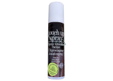 Touch Up Spray Spray zum Abdecken von grauem und ergrautem Haar Kastanienbraun 75 ml