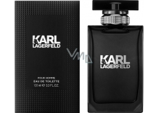 Karl Lagerfeld für Homme Eau de Toilette 100 ml