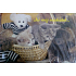 Alvarak Liebeswunsch Giga Cats 50 x 30 cm