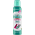 Sanytol Schuhdesinfektion im Spray, 150 ml