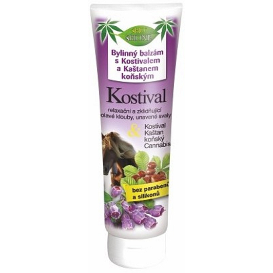 Bione Cosmetics Beinwell & Kastanie Pferde-Kräuterbalsam 100 ml