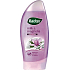 Radox Milk & Magnolia Duschgel 250 ml