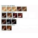 Garnier Color & Shine Haarfarbe 6.56 rotes Mahagoni