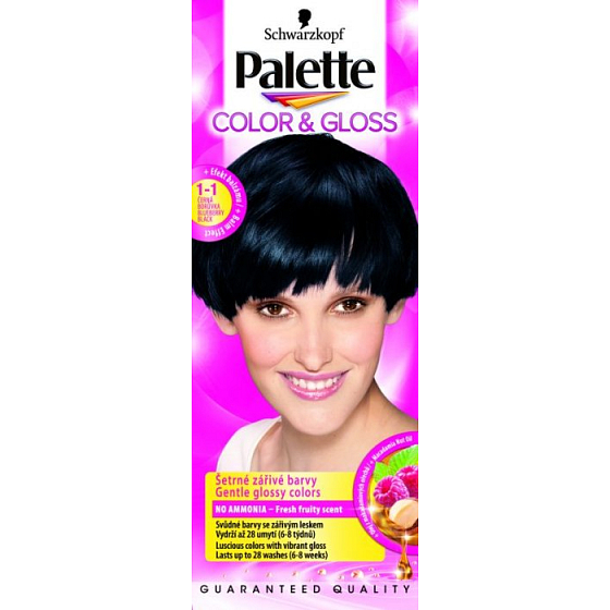 Schwarzkopf Palette Farbe & Glanz Haarfarbe 1 - 1 Schwarze Blaubeere