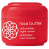 Ziaja Rose Blume Anti-Falten-Creme für die Nacht 50 ml