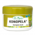 Dr. Popov Cannabis Salbe Cannabis für trockene Ekzemhaut 100 ml
