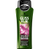 Gliss Kur Bio-Tech Restore Shampoo für die Bedürfnisse von brüchigem Haar 250 ml