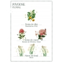 Panier des Sens Radiant Pfingstrosen beruhigende Lotion - Entferner 200 ml