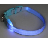 B&F Halsband Gurt leuchtend hellblau 1,5 x 18 - 28 cm