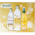 Timotei Precious Oils with Rare Oils Haarshampoo 250 ml + Conditioner 200 ml + Verschönerungsspray 150 ml, Kosmetikset 2015