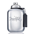 Coach Platinum EdT 100 ml Eau de Toilette für Männer