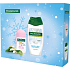 Palmolive Naturals Sensitive Hautmilchproteine Duschgel 250 ml + Happyfull Antitranspirant Roll-on 50 ml, Kosmetikset