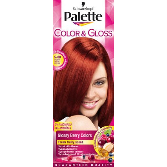 Schwarzkopf Palette Color & Gloss Haarfarbe 5 - 88 Strawberry Smothie