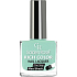 Golden Rose Rich Color Nagellack Nagellack 065 10,5 ml